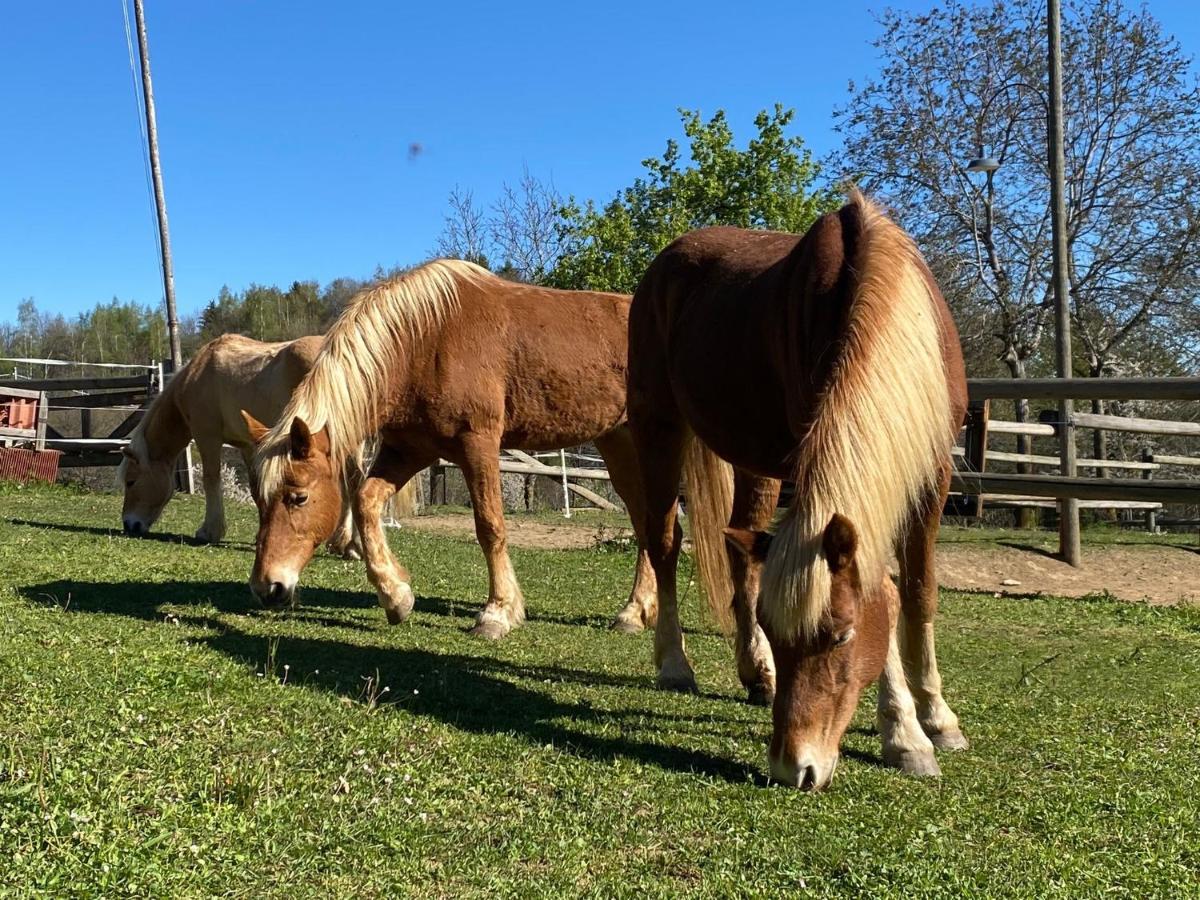 Ranch Enbruca Lejlighed Boves Eksteriør billede