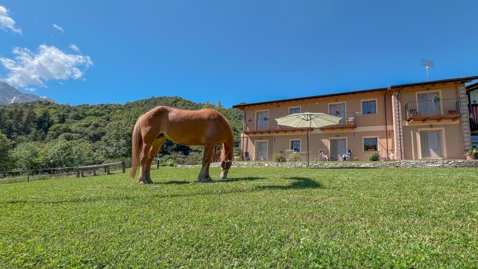 Ranch Enbruca Lejlighed Boves Eksteriør billede